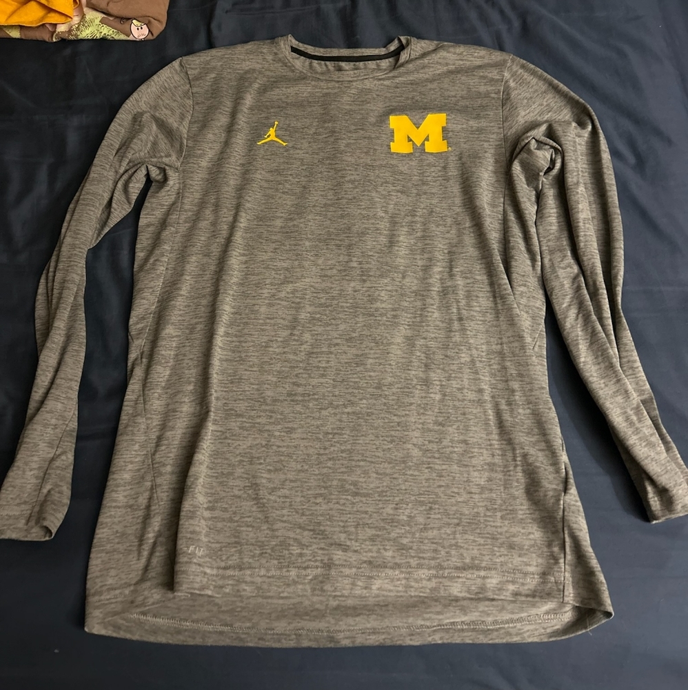 Nike Michigan Gray Mens Large